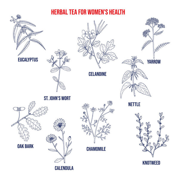 Herbal tea for womens health