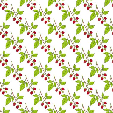 Beyaz zemin üzerinde kırmızı ahududu dalları olan pürüzsüz desen