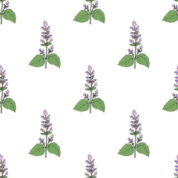 Modello senza cuciture con salvia Clary — Vettoriale Stock