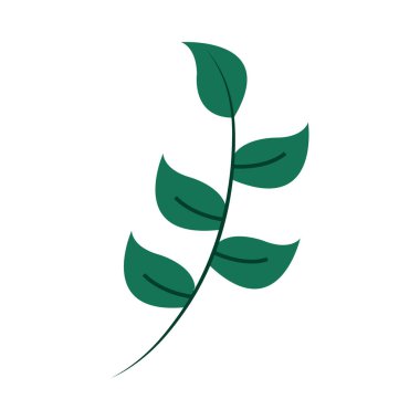 yeşil dal yaprakları