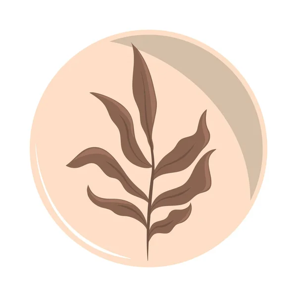 Филиал ботанических листьев — стоковый вектор