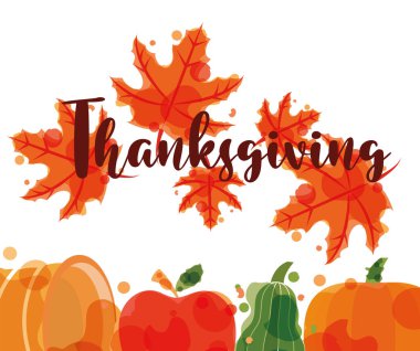 Şükran Günü balkabakları ve yaprakları