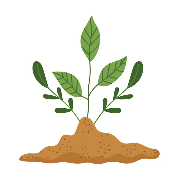 Растение в почве — стоковый вектор