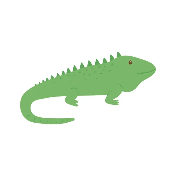 Chameleon reptile animal — Stock Vector