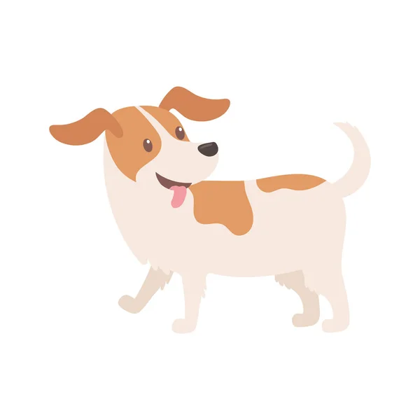 Lindo perro mascota — Vector de stock