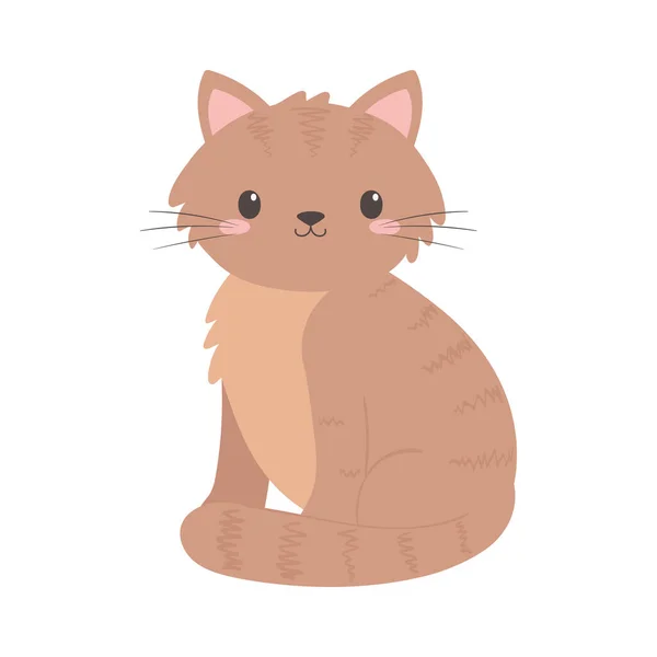 Mignon petit chat — Image vectorielle
