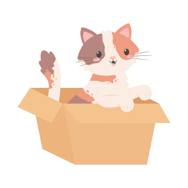 Malá kočka v krabici — Stockový vektor