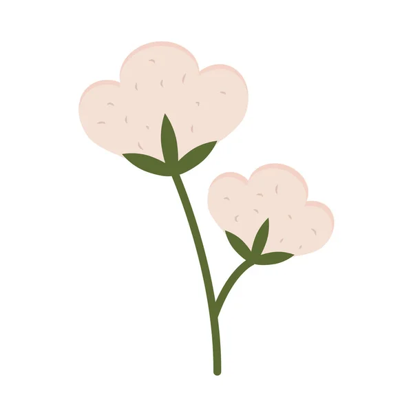 Bavlníková květina — Stockový vektor