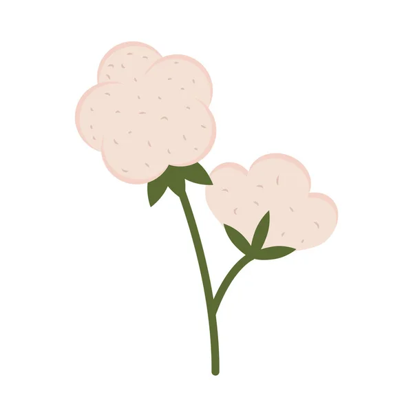 Flor macia de algodão — Vetor de Stock