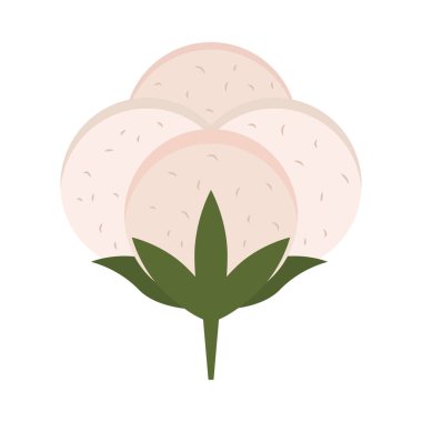 pamuklu beyaz arka plan