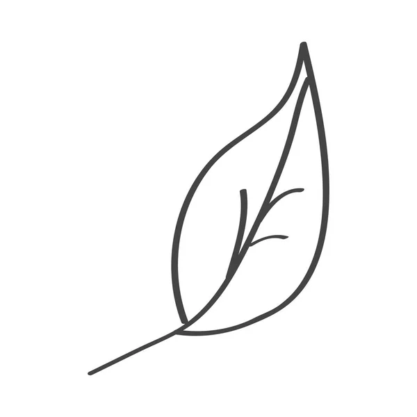 Лінійна природа листя — стоковий вектор