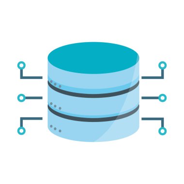 veri girişi sunucu rafı