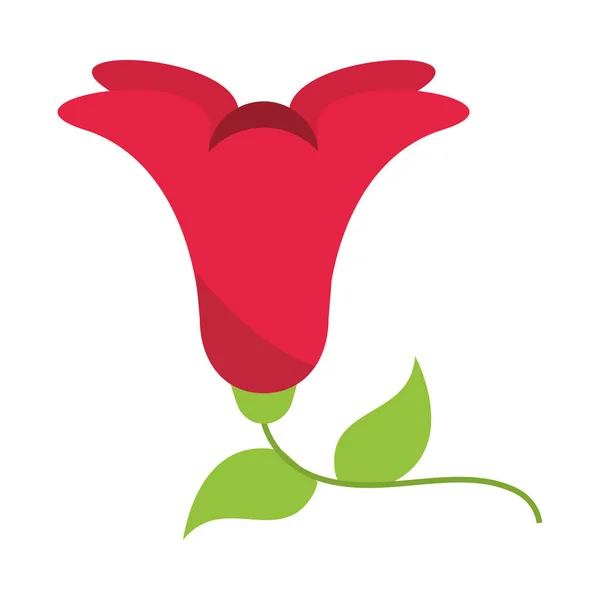 Bunga alami merah - Stok Vektor