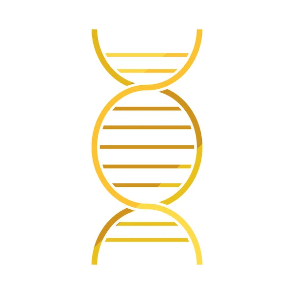 Icona del DNA molecolare — Vettoriale Stock