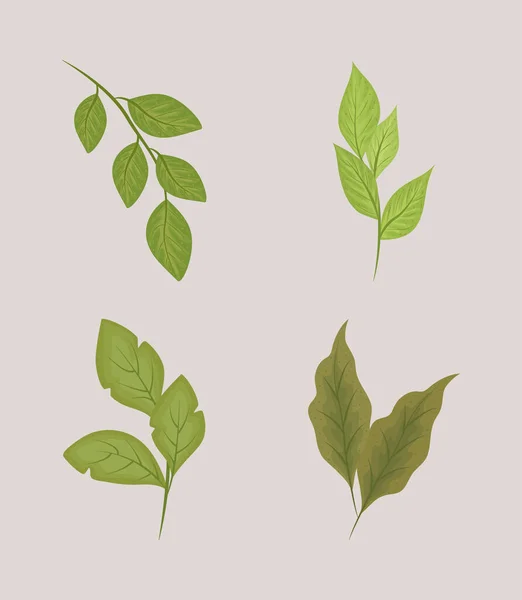 Φύλλα βλάστηση της φύσης — Διανυσματικό Αρχείο