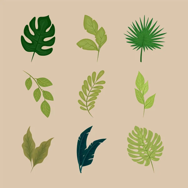 Листья и ветви природы — стоковый вектор