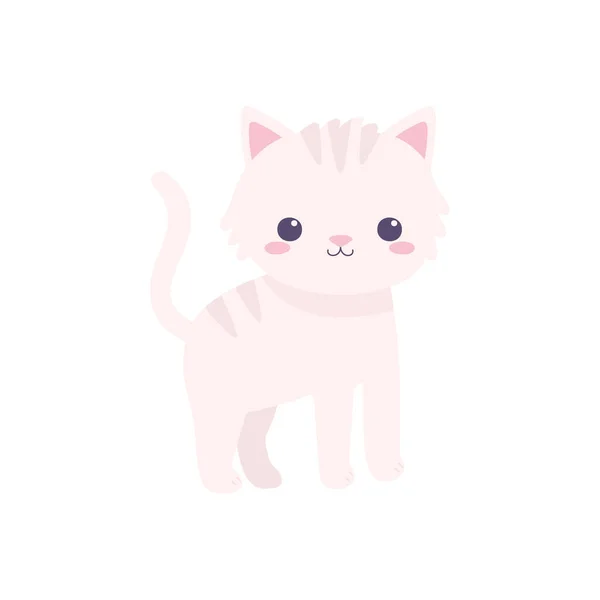 Mignon petit chat — Image vectorielle