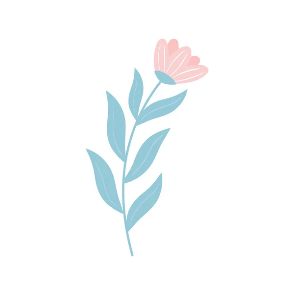 Květiny a listy — Stockový vektor