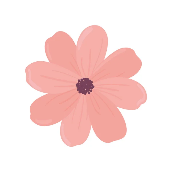 분홍색 꽃 장식 — 스톡 벡터