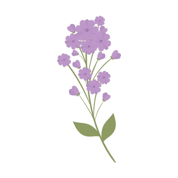 Ramo de flores púrpura — Vector de stock