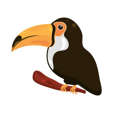 egzotik Toucan kuş