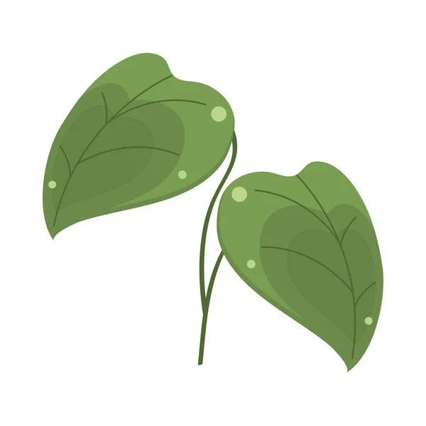 Feuille de plante jungle — Image vectorielle