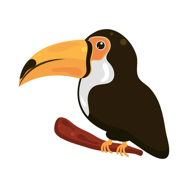 Egzotikus tukán madár — Stock Vector