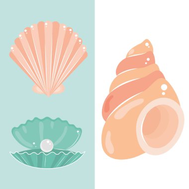 deniz kabukları tropik ikonlar