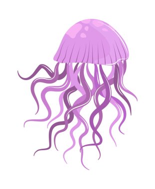 Su altı dünyası denizanası