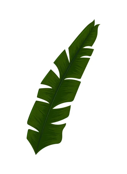 Naturaleza de las hojas tropicales — Vector de stock