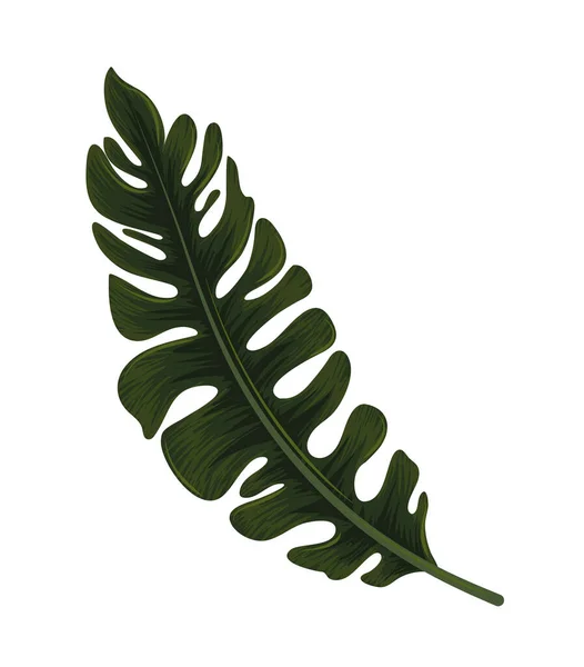 Tropische Blattpalme — Stockvektor