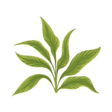 bitki doğayı terk eder