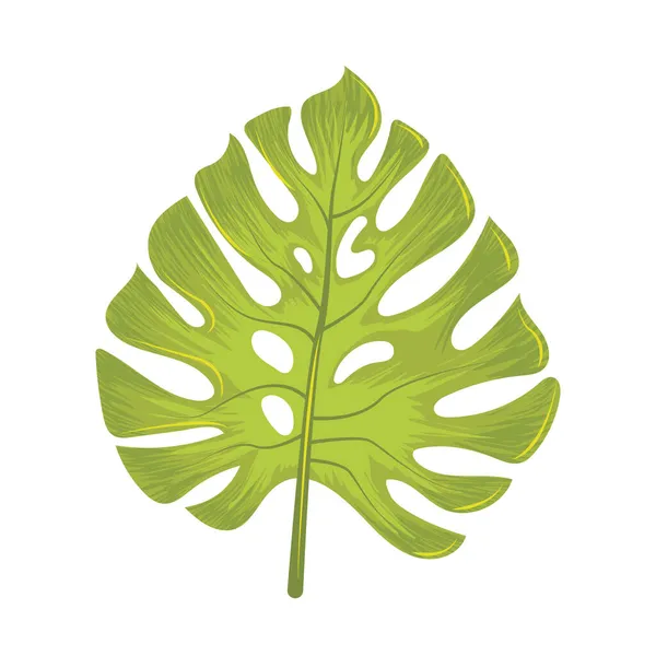 ジャングルの葉の性質 — ストックベクタ