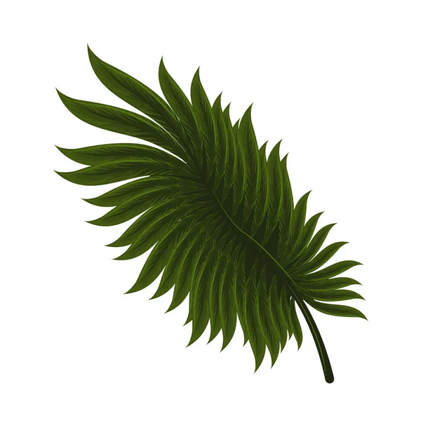 Folha de planta tropical — Vetor de Stock