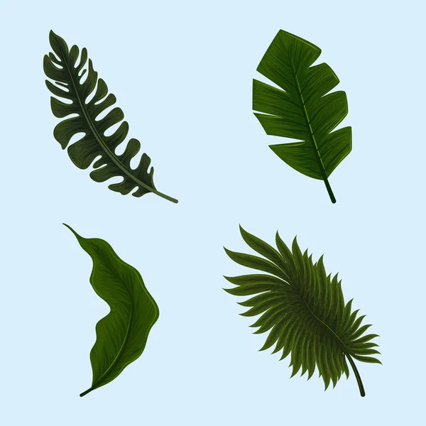 Iconos hojas de la selva — Vector de stock