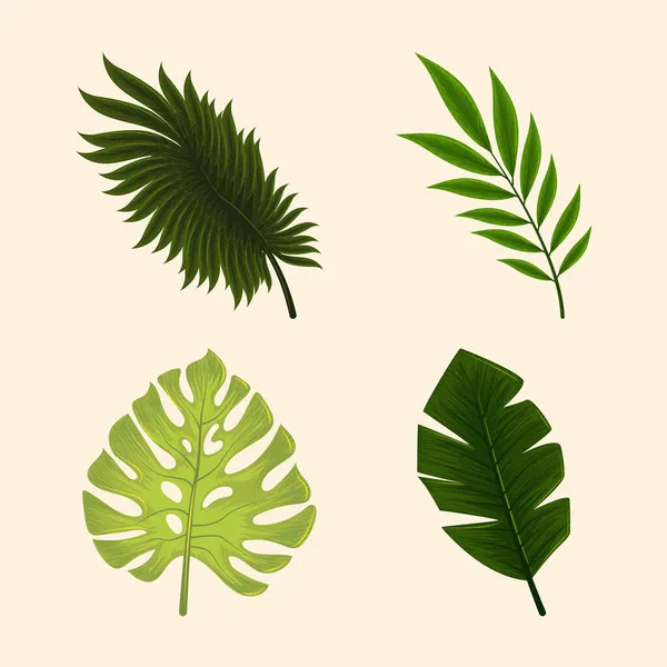 Uppsättning djungel tropiska löv — Stock vektor