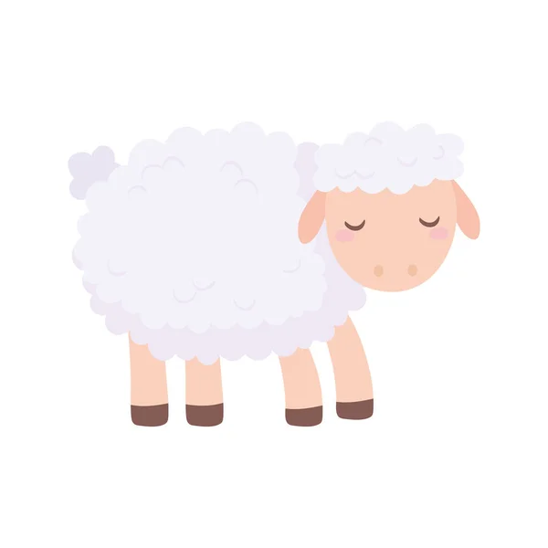 Bonita oveja dibujos animados — Vector de stock