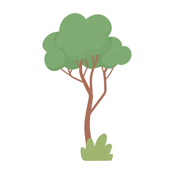 木の茂みの性質 — ストックベクタ