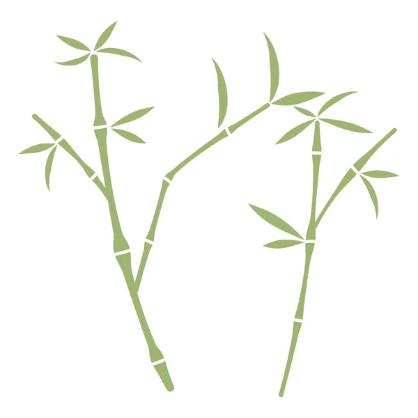 Naturaleza de la planta de bambú — Vector de stock
