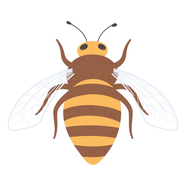 Icono de insecto de abeja — Archivo Imágenes Vectoriales