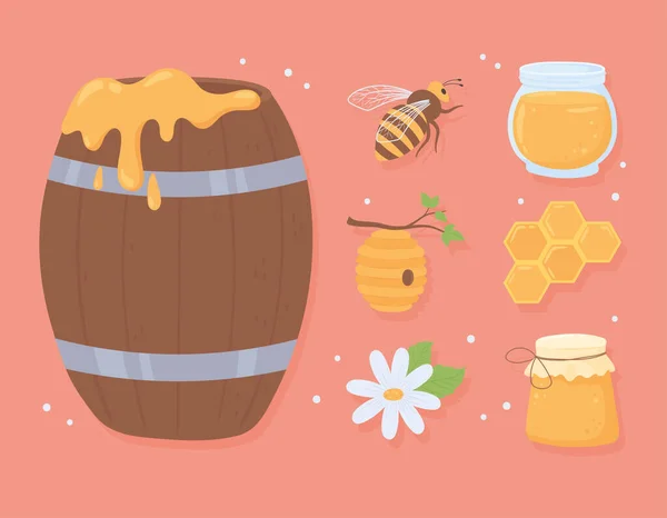 Conjunto de iconos Miel — Vector de stock