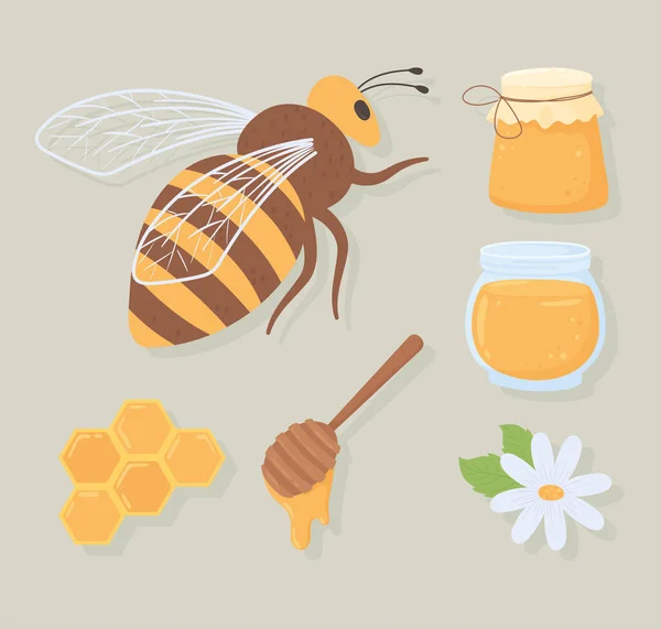 Ícones mel abelha — Vetor de Stock