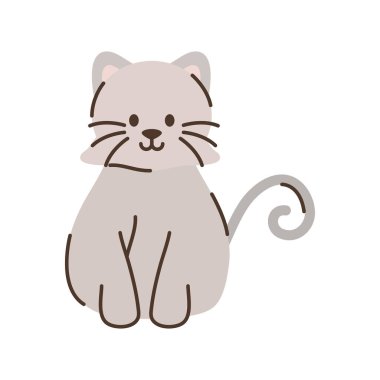 Küçük kedi hayvan şirin.