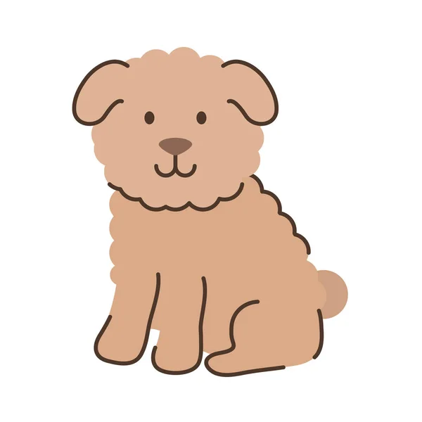 Fluffy little dog cute — Stock Vector
