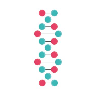 DNA molekül yapısı