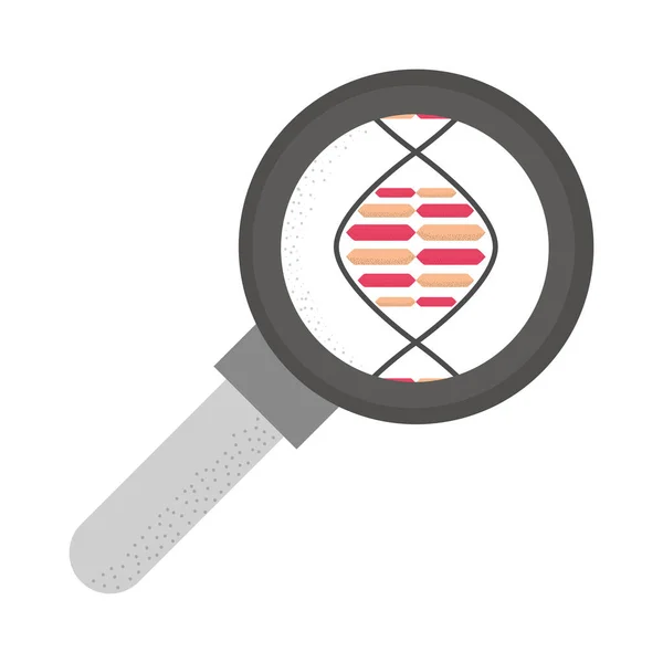 DNA遗传分析 — 图库矢量图片