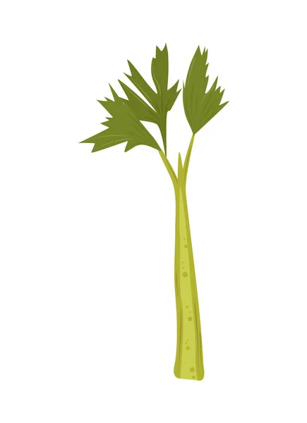 Celery svěží ikona — Stockový vektor