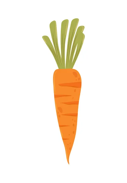 Carrot fresh icon — Stock Vector