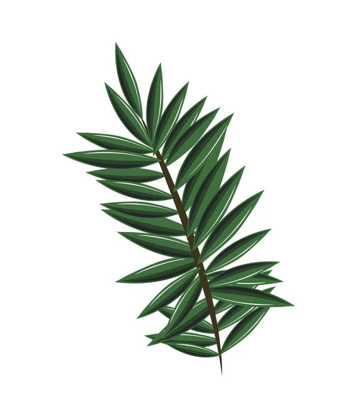 Árbol de pino — Vector de stock