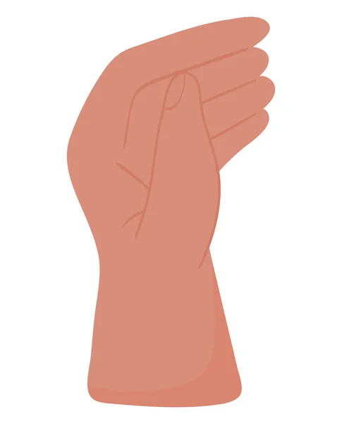 Human body part hand — Stock Vector